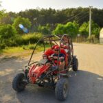 Alanya: Buggy Safari Adventure with Hotel Transfers - Who Would Enjoy This Tour?