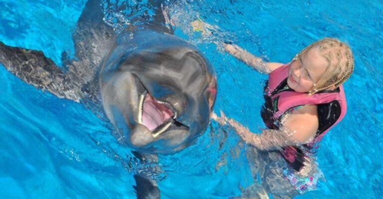 Alanya: Dolphin and Seal Show Ticket with Hotel Transfers - Practical Tips for Making the Most of Your Visit
