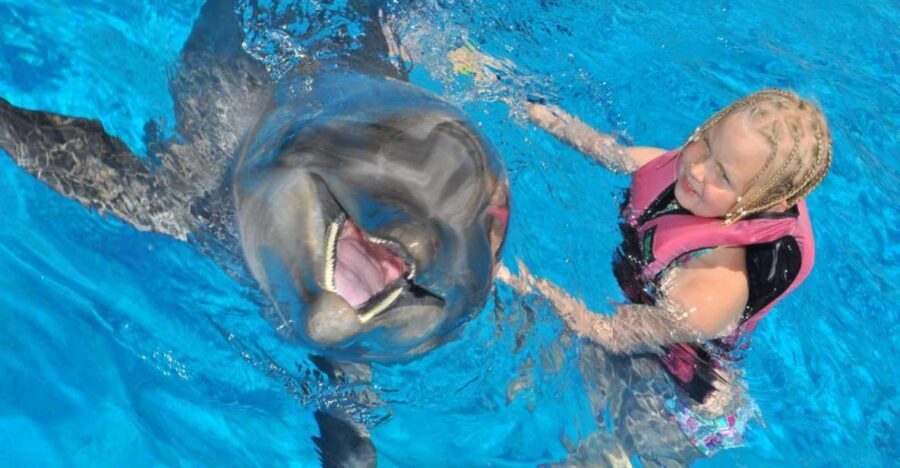 Alanya: Dolphin and Seal Show Ticket with Hotel Transfers - Practical Tips for Making the Most of Your Visit