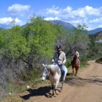 Alanya: Horse Riding Club Transfer Service - Who Will Love This Tour?