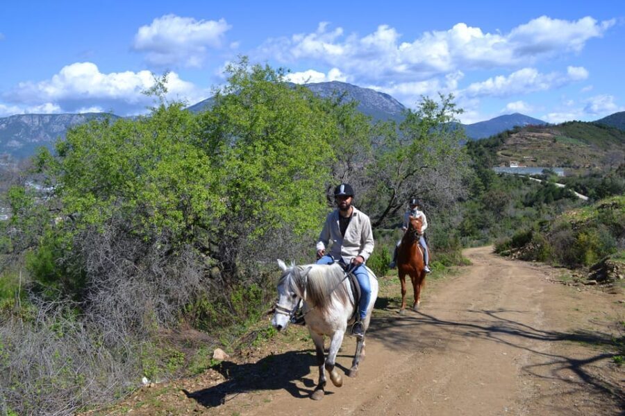 Alanya: Horse Riding Club Transfer Service - Who Will Love This Tour?