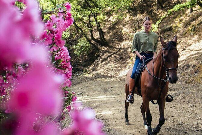 Alanya Horse Riding Experience With Free Hotel Transfer - The Itinerary in Detail