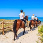 Alanya: Horse Riding Tour with Hotel Transfers - The Itinerary Breakdown