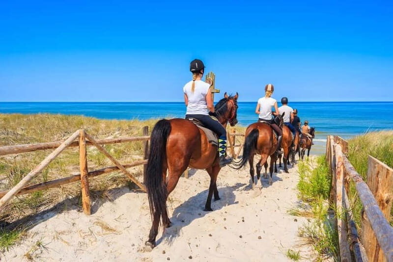 Alanya: Horse Riding Tour with Hotel Transfers - The Itinerary Breakdown