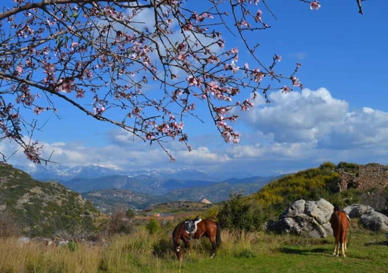 Alanya: Horseback Ride Through Nature near Syedra Ruins - What to Expect on the Horseback Ride near Syedra Ruins