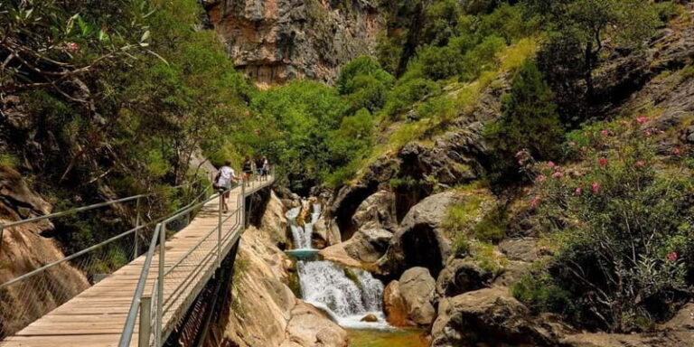 Alanya: Sapadere Canyon Tour w/Scenic Views and Lunch - Who Should Consider This Tour