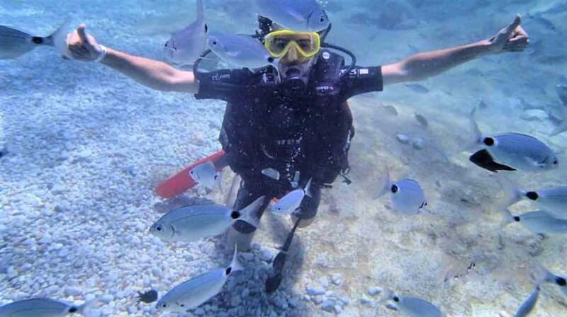 Alanya: Scuba Diving Adventure for Beginners & Professionals - What Makes This Tour Stand Out?