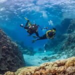 Alanya: Scuba Diving Tour with Lunch and Hotel Transfers - The Sum Up