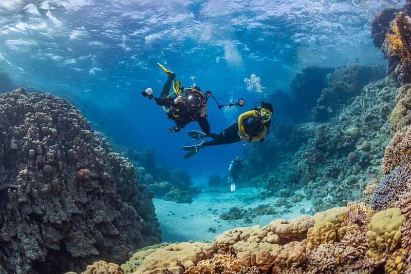 Alanya: Scuba Diving Tour with Lunch and Hotel Transfers - The Sum Up