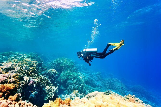 Alanya Scuba Diving with Hotel Transfer incl. Lunch - An In-Depth Look at the Alanya Scuba Experience