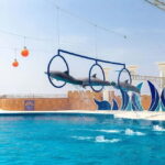 Alanya: Sealanya Dolphinpark Dolphin Show Tour - Final Thoughts: Is it Worth It?