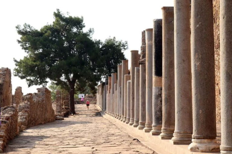 Alanya: Syedra, Iotape, Lie Cave & Antiochia ad Cragum Tour - Practical Details and Value