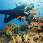 Alanya:Scuba Diving Boat Trip with Lunch and Transfer - Practical Details and Tips