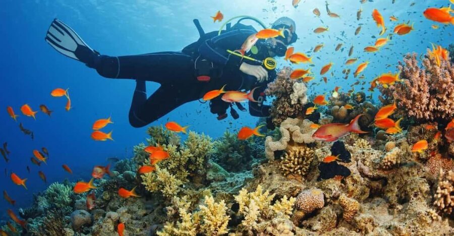 Alanya:Scuba Diving Boat Trip with Lunch and Transfer - Practical Details and Tips