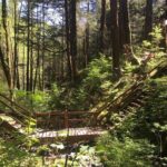 Alaska Bigfoot Adventures - Who Will Love This Tour?