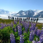 Alaska Heli Hiking - ANCHORAGE AREA - A Deeper Look at the Alaska Heli-Hiking Adventure