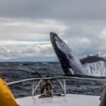 Alaska: Kenai Fjords & Denali National Park 5 Day Adventure - What the Tour Includes and Excludes