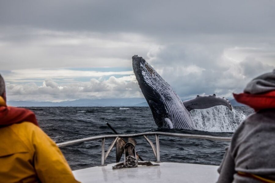 Alaska: Kenai Fjords & Denali National Park 5 Day Adventure - What the Tour Includes and Excludes
