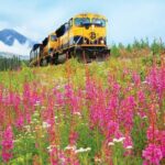 Alaska Railroad Denali to Anchorage One Way - An In-Depth Look at the Denali to Anchorage Train Experience
