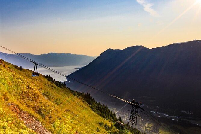 Alaska Wildlife Center and Turnagain Arm Tour w/Alyeska Tram - A Detailed Look at the Alaska Wildlife Center and Turnagain Arm Tour