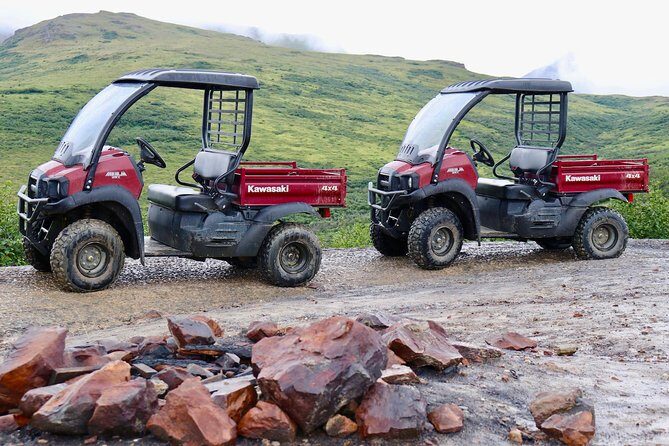 Alaskan Back Country Side by Side ATV Adventure with Meal - The Scenic Route and Stops