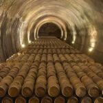 Álava: Viña Real Winery - A Deep Dive into the Viña Real Winery Tour