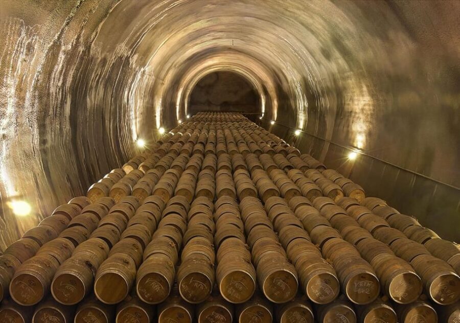 Álava: Viña Real Winery - A Deep Dive into the Viña Real Winery Tour