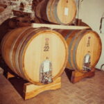 Alba: Wine Tasting and Tour with a Local Producer - What to Expect on the Tour