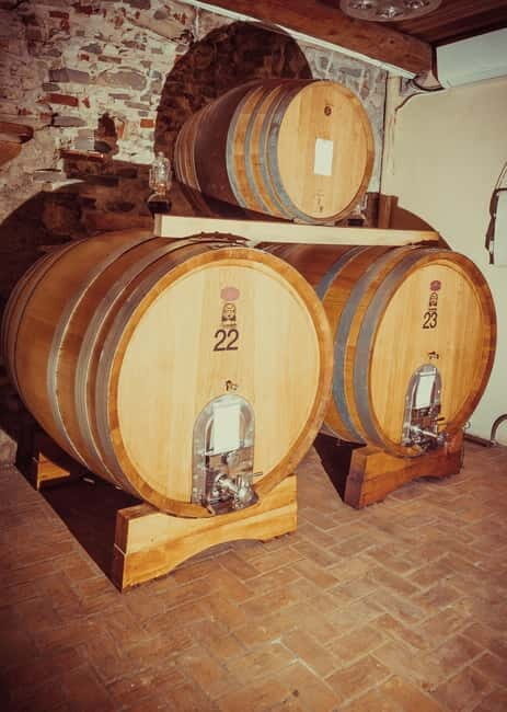 Alba: Wine Tasting and Tour with a Local Producer - What to Expect on the Tour