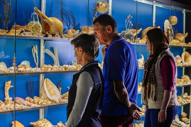 Albany's Historic Whaling Station Admission Ticket - Frequently Asked Questions