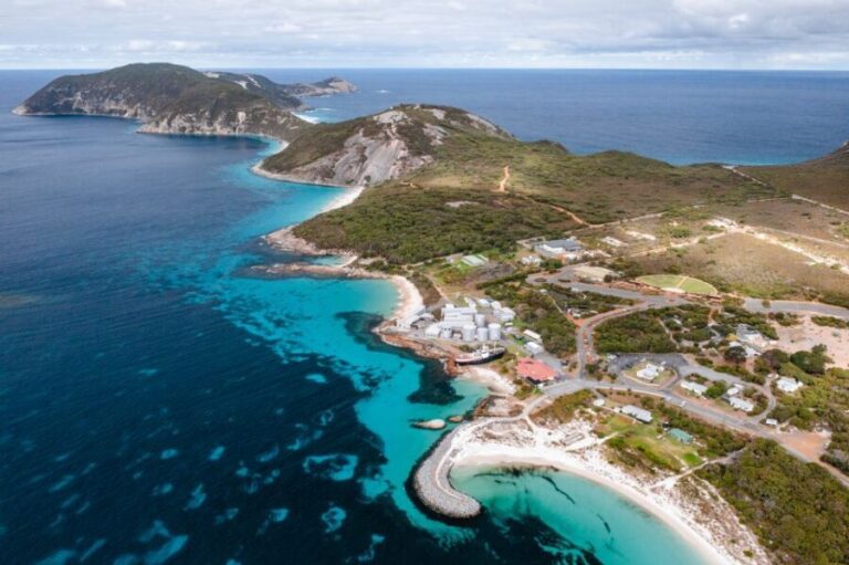 Albany's Whale Story - Why Is This Tour Valuable?