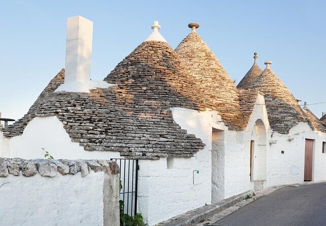 Alberobello and Polignano private walking tour - A Deep Dive into the Alberobello & Polignano Private Tour