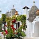 Alberobello & Matera, From Bari with Comfortable Transport - Analyzing the Value