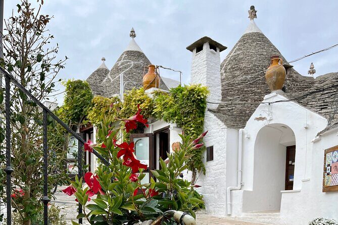 Alberobello & Matera, From Bari with Comfortable Transport - Analyzing the Value