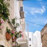 Alberobello, Monopoli Polignano Small-Group Guided Tour from Bari - The Experience in Practice