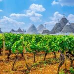 Alberobello Private Tour: Wine, Food, Trulli & Flavors of Puglia - A Scenic Drive with Stunning Views