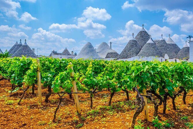 Alberobello Private Tour: Wine, Food, Trulli & Flavors of Puglia - A Scenic Drive with Stunning Views