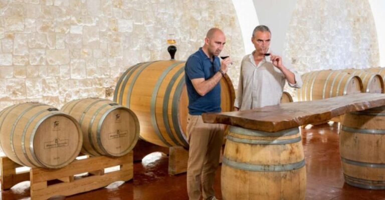Alberobello: Winery Tour with Wine and Food Tasting - The Sum Up