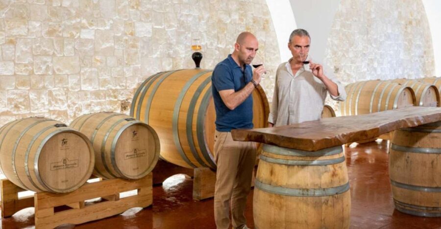 Alberobello: Winery Tour with Wine and Food Tasting - The Sum Up