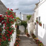 Alberobello with a local tour guide!(shared tour max.15 pax) - Why the Price Is a Good Deal