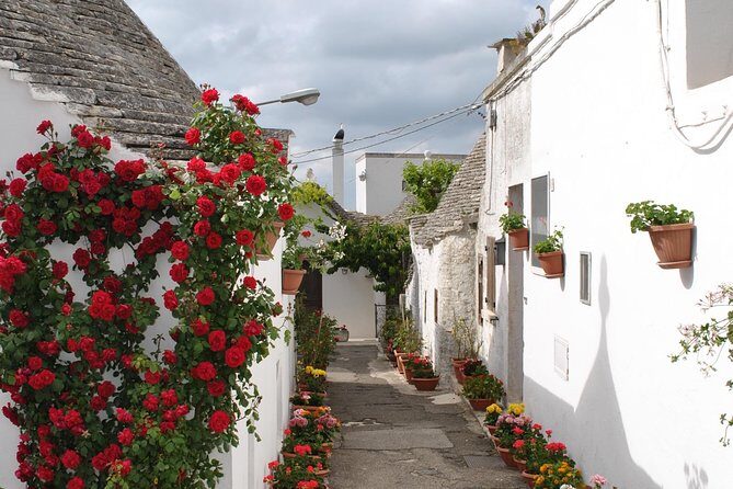 Alberobello with a local tour guide!(shared tour max.15 pax) - Why the Price Is a Good Deal
