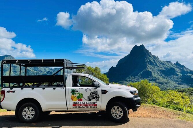ALBERT TOURS: Excursion 4x4 safari with private SWING view point - The Sum Up: Is This Tour Worth It?