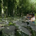 Albert Tours Excursion Safari - Moorea Safari tours&pick up - Itinerary Breakdown: What Makes Each Stop Special