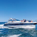 Albufeira: Algarve Half-Day Private Yacht Charter - Food and Beverages: A Floating Feast
