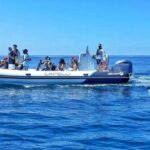 Albufeira: Benagil Cave and Dolphin Sightseeing Boat Cruise - What to Expect During Your 2.5-Hour Tour