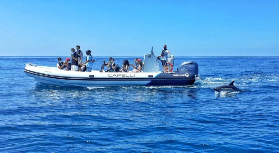Albufeira: Benagil Cave and Dolphin Sightseeing Boat Cruise - What to Expect During Your 2.5-Hour Tour