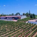 Albufeira Coast Tour, Winery & Chicken lunch - Practical Tips for Travelers