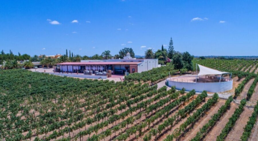 Albufeira Coast Tour, Winery & Chicken lunch - Practical Tips for Travelers