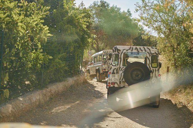 Albufeira Jeep Safari Full Day (PRIVATE TOUR) - In-Depth Review of the Algarve Jeep Safari Full Day