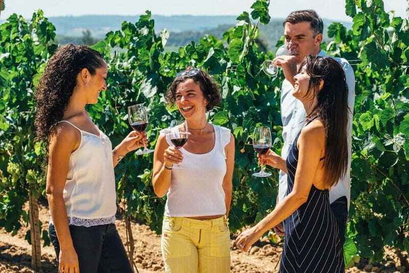 Albufeira: Wine Tasting Tour with Castle and Windmill Visit - An Authentic Algarve Experience: Unpacking the Details